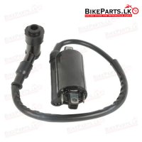 Coil Ignition - DZM200