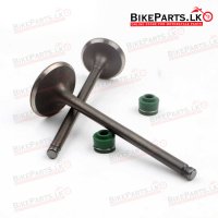 Exhaust - Intake Valve- Rinos