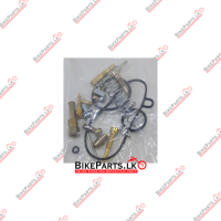 Carburetor Repair Kit CT100