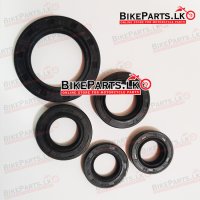 Oil Seal Set - Engine - DTM200