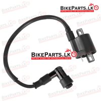 Coil Ignition - DTM150